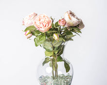 Load image into Gallery viewer, Soft Pink Roses
